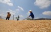 Giữ nguyên chỉ tiêu xuất khẩu nông sản năm 2020